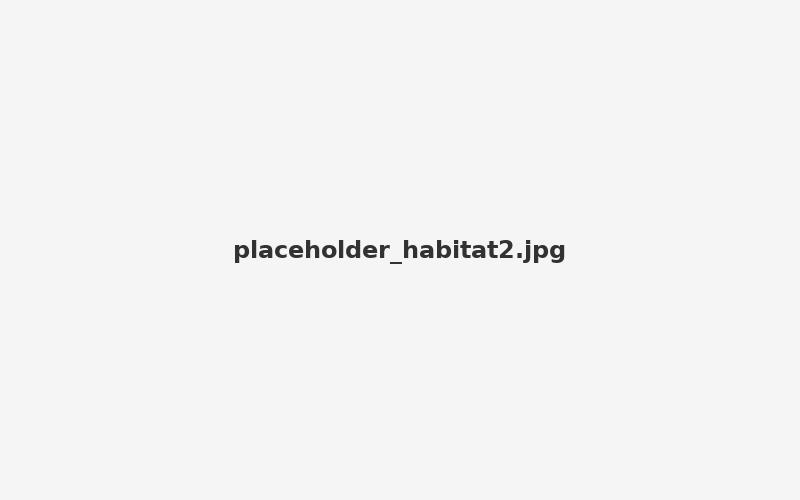Habitat 2 placeholder