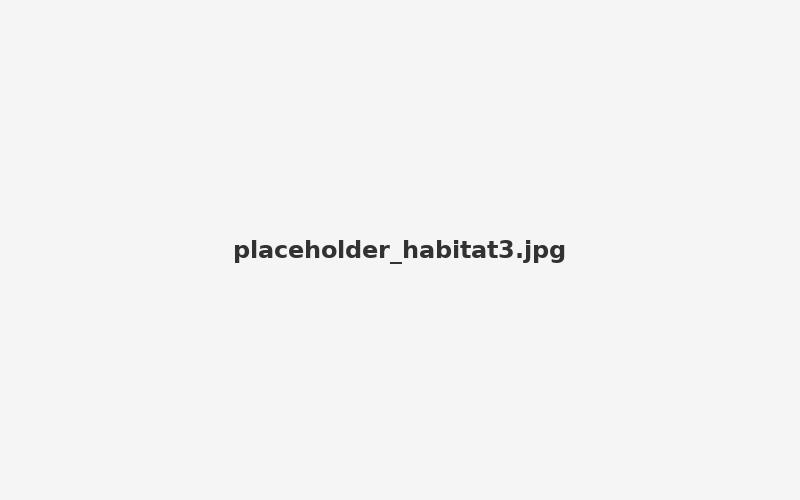Habitat 3 placeholder